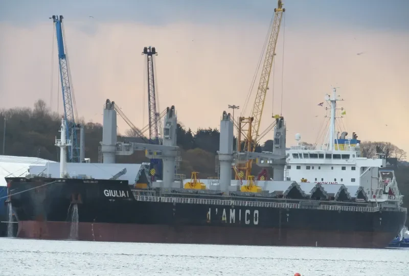 GIULIA I Bulk Carrier IMO 9638135 photo 6