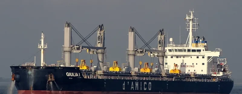 GIULIA I Bulk Carrier IMO 9638135 photo 7