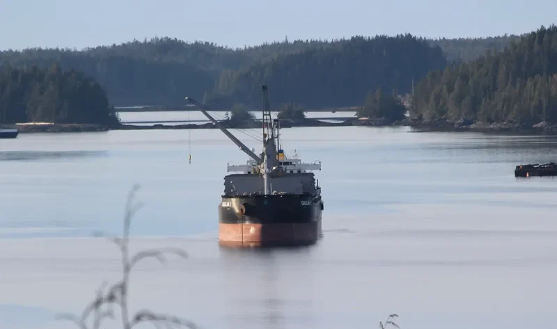 GIULIA I Bulk Carrier IMO 9638135 photo 8