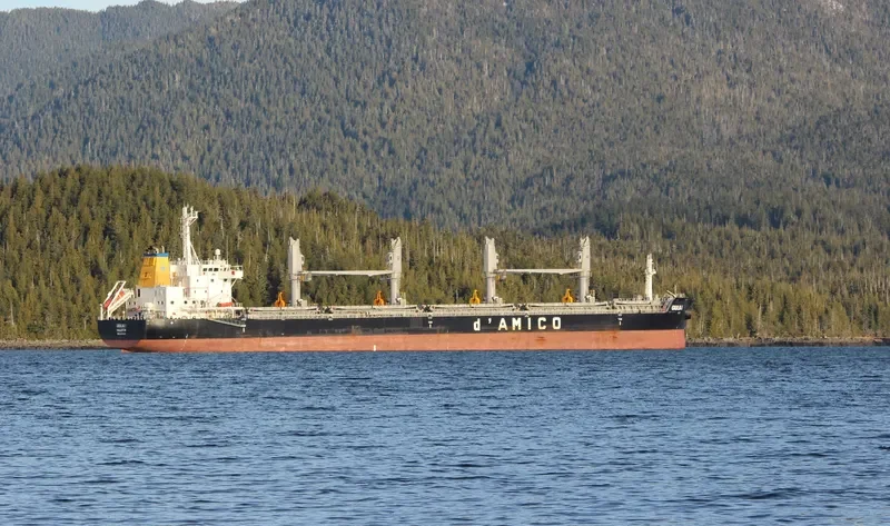 GIULIA I Bulk Carrier IMO 9638135 photo 9