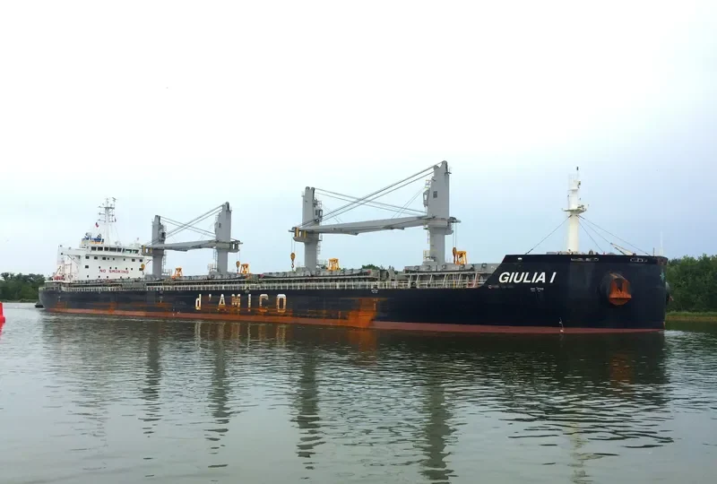 GIULIA I Bulk Carrier IMO 9638135 photo 10