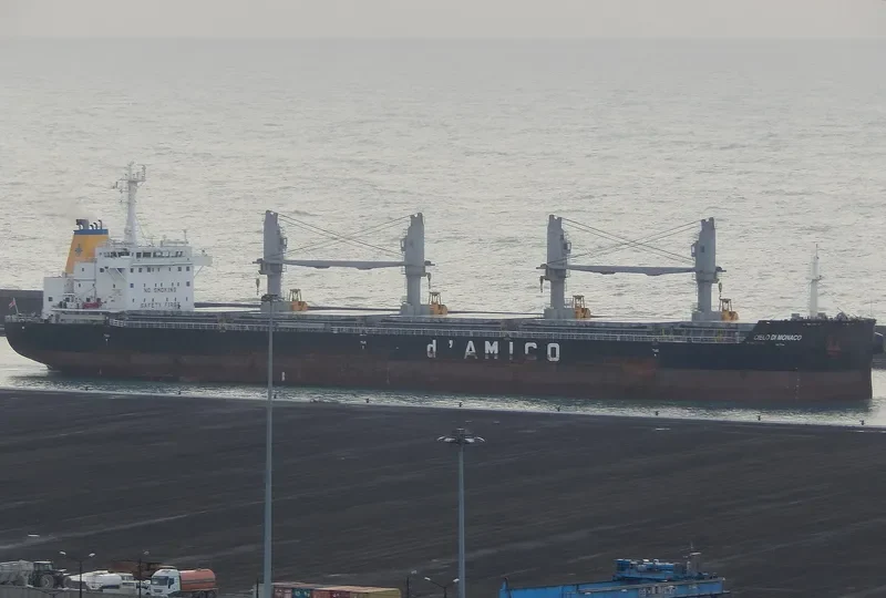 CIELO DI MONACO Bulk Carrier IMO 9638147