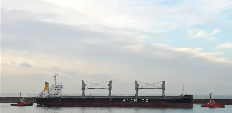 CIELO DI MONACO Bulk Carrier IMO 9638147 photo 3