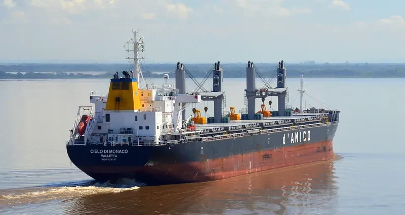 CIELO DI MONACO Bulk Carrier IMO 9638147 photo 4