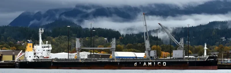 CIELO DI MONACO Bulk Carrier IMO 9638147 photo 7