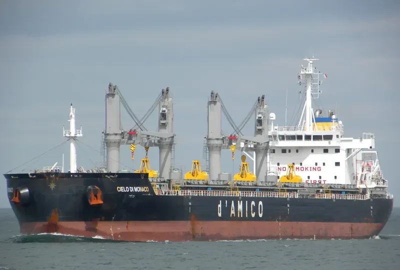 CIELO DI MONACO Bulk Carrier IMO 9638147 photo 8