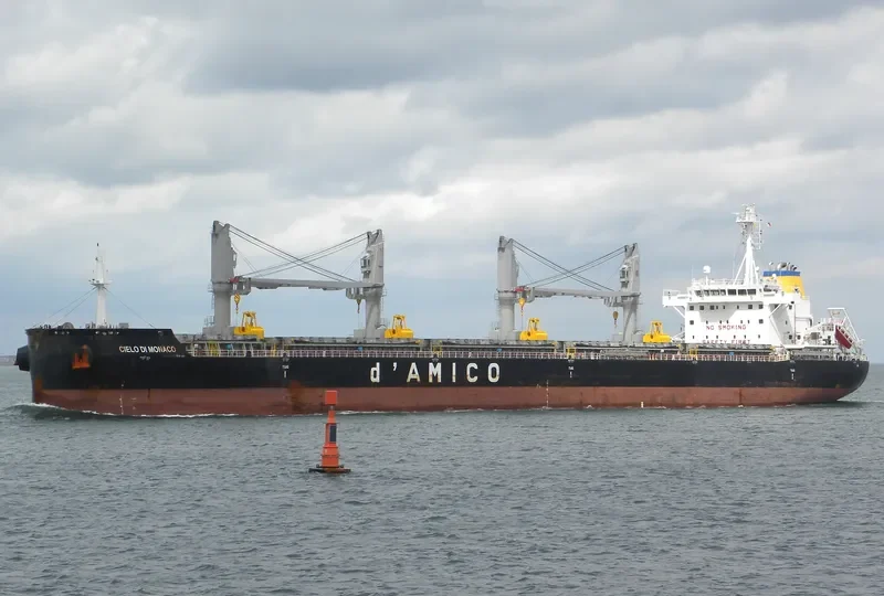 CIELO DI MONACO Bulk Carrier IMO 9638147 photo 9