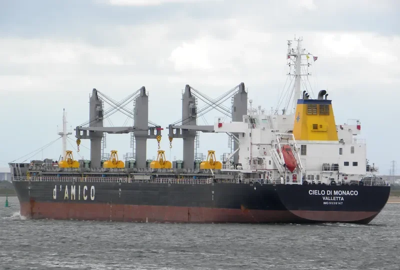 CIELO DI MONACO Bulk Carrier IMO 9638147 photo 10