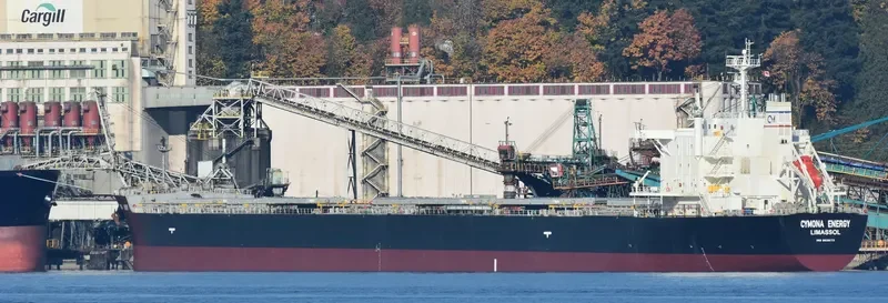 CYMONA ENERGY Bulk Carrier IMO 9638173