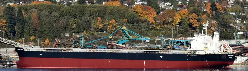 CYMONA ENERGY Bulk Carrier IMO 9638173 photo 2