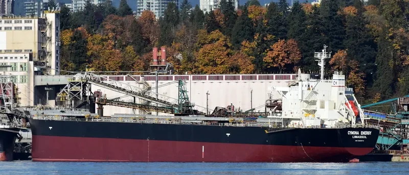 CYMONA ENERGY Bulk Carrier IMO 9638173 photo 3