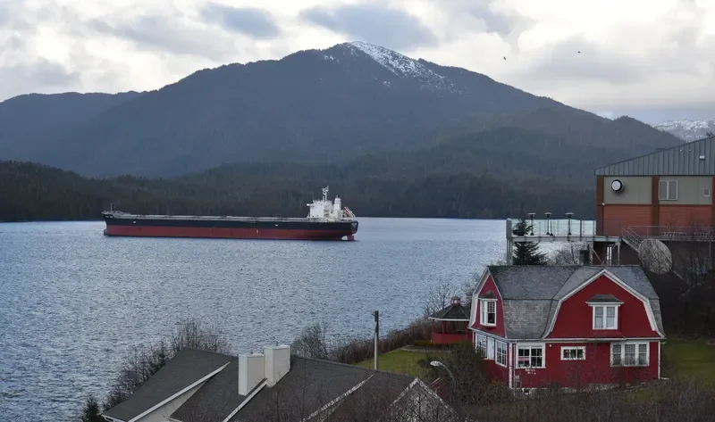 CYMONA ENERGY Bulk Carrier IMO 9638173 photo 4