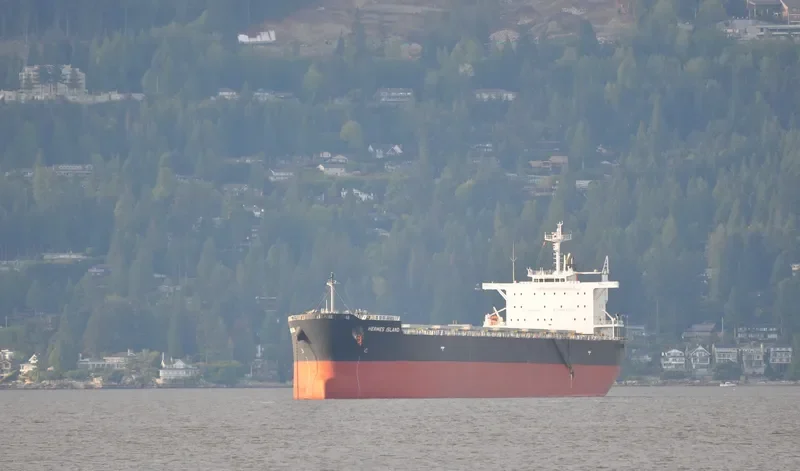 CYMONA ENERGY Bulk Carrier IMO 9638173 photo 6