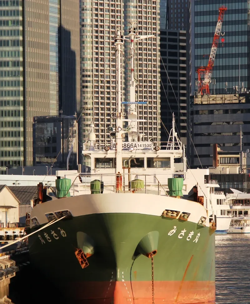 MISAKI MARU General Cargo IMO 9638381 photo 9