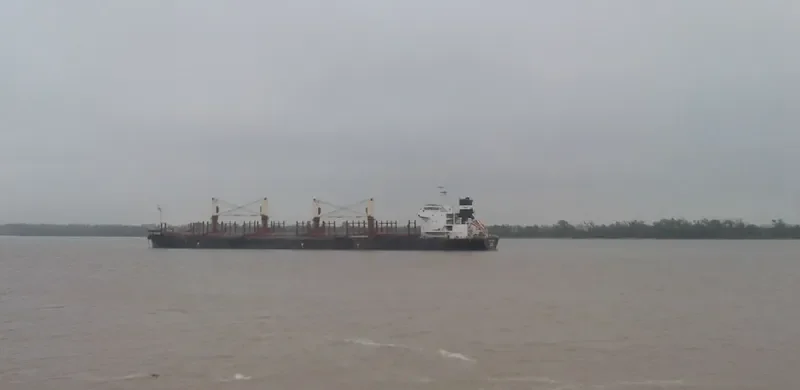 SCHUYLER TRADER Bulk Carrier IMO 9638408