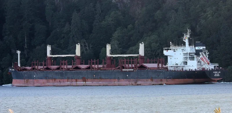 PATIENCE LAKE Bulk Carrier IMO 9638422