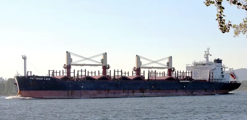 PATIENCE LAKE Bulk Carrier IMO 9638422 photo 2