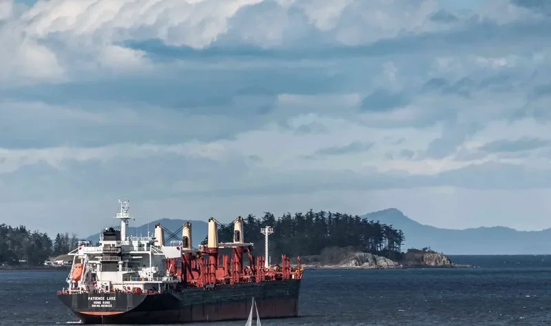 PATIENCE LAKE Bulk Carrier IMO 9638422 photo 3