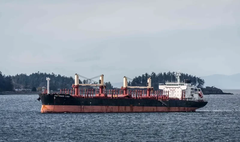 PATIENCE LAKE Bulk Carrier IMO 9638422 photo 4