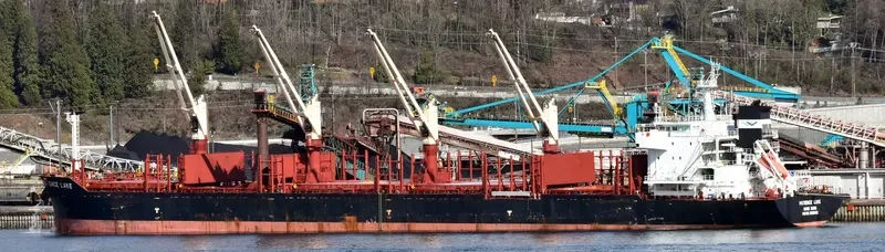 PATIENCE LAKE Bulk Carrier IMO 9638422 photo 7