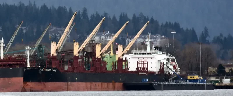 PATIENCE LAKE Bulk Carrier IMO 9638422 photo 9