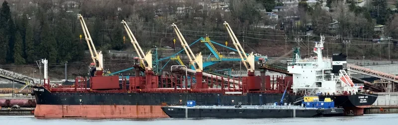 PATIENCE LAKE Bulk Carrier IMO 9638422 photo 10