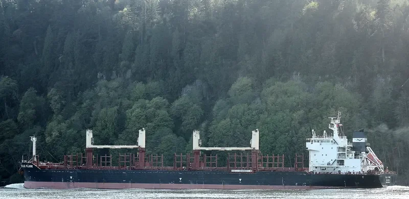 BELLE PLAINE Bulk Carrier IMO 9638434 photo 6