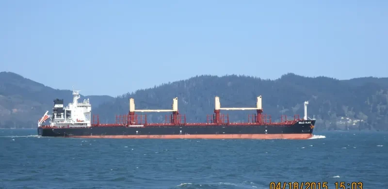 BELLE PLAINE Bulk Carrier IMO 9638434 photo 7