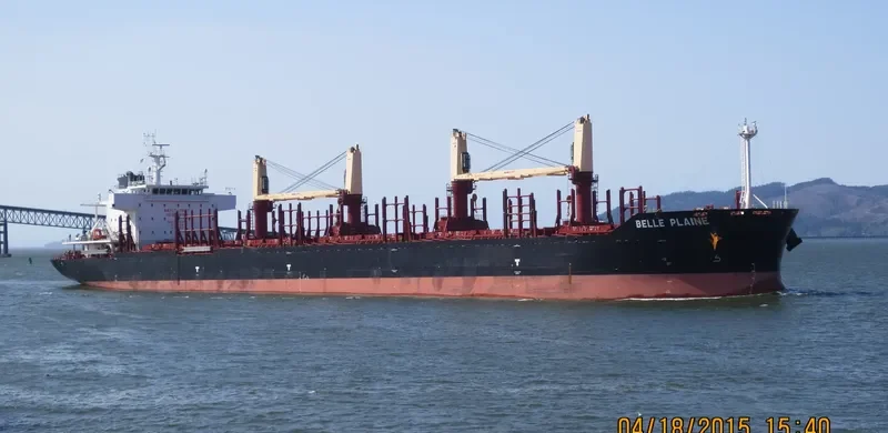 BELLE PLAINE Bulk Carrier IMO 9638434 photo 8