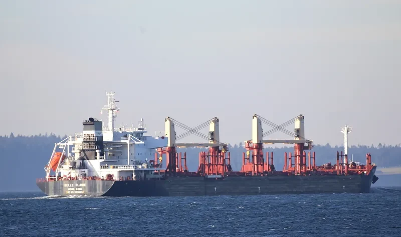 BELLE PLAINE Bulk Carrier IMO 9638434 photo 9