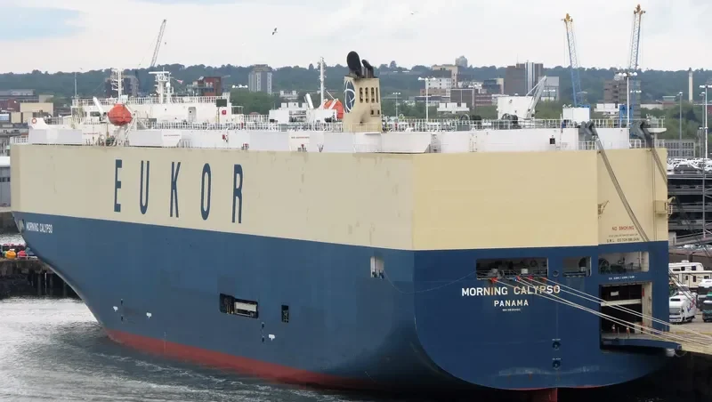 MORNING CALYPSO General Cargo IMO 9638460