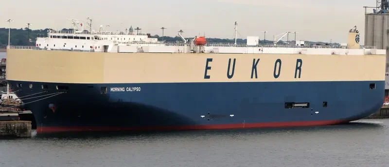 MORNING CALYPSO General Cargo IMO 9638460 photo 2