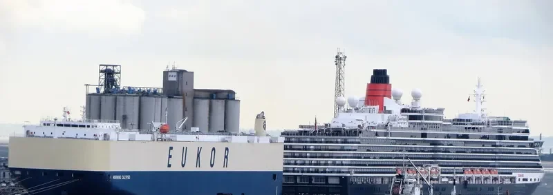 MORNING CALYPSO General Cargo IMO 9638460 photo 3