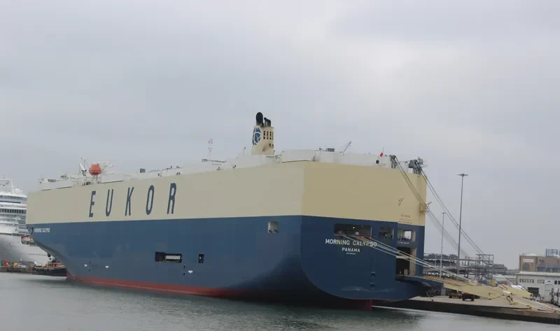 MORNING CALYPSO General Cargo IMO 9638460 photo 4
