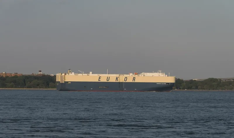 MORNING CALYPSO General Cargo IMO 9638460 photo 5