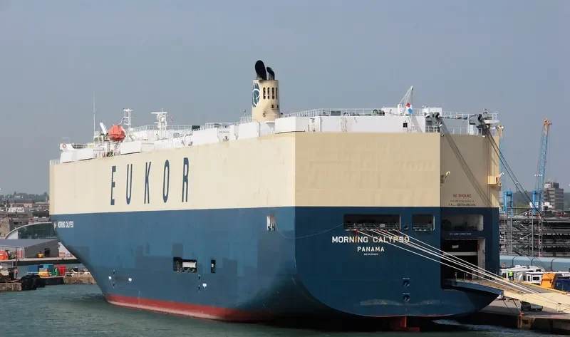 MORNING CALYPSO General Cargo IMO 9638460 photo 6