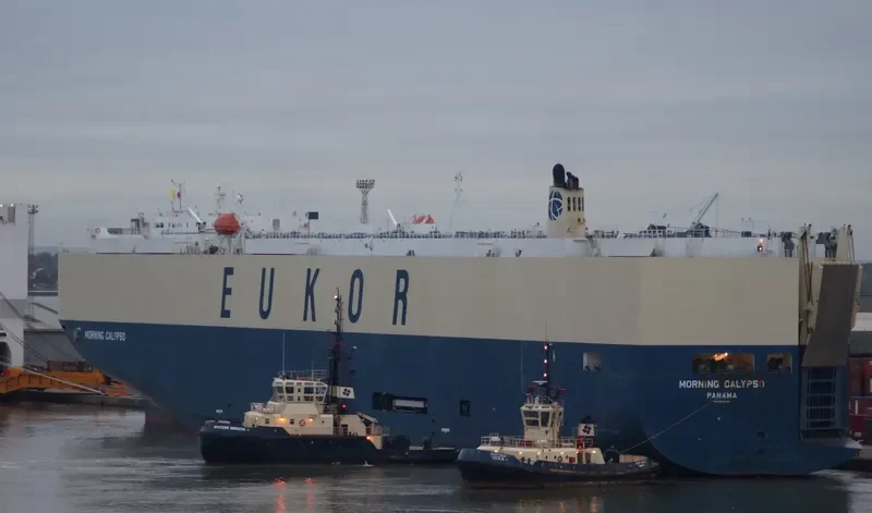 MORNING CALYPSO General Cargo IMO 9638460 photo 7