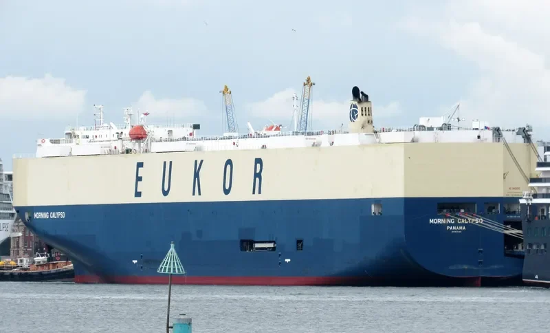 MORNING CALYPSO General Cargo IMO 9638460 photo 8