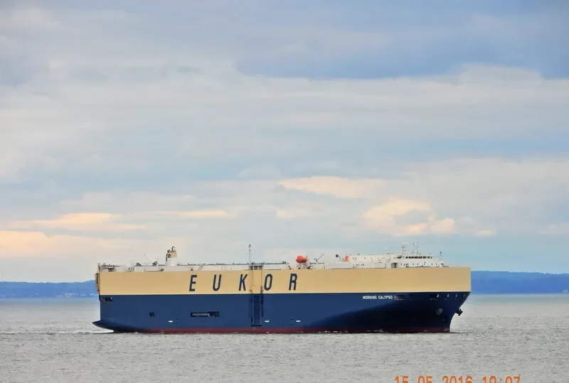 MORNING CALYPSO General Cargo IMO 9638460 photo 9