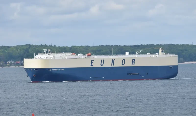 MORNING CALYPSO General Cargo IMO 9638460 photo 10