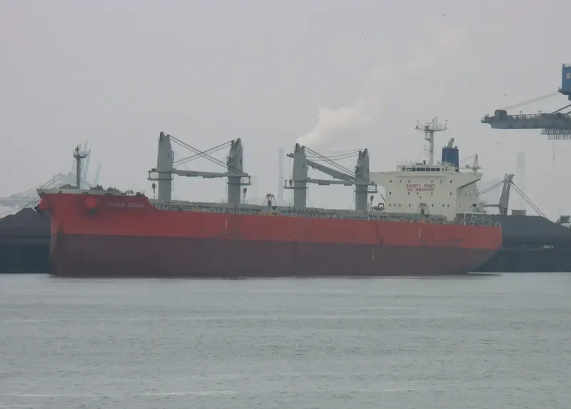 ARMONIA Bulk Carrier IMO 9638496 photo 3