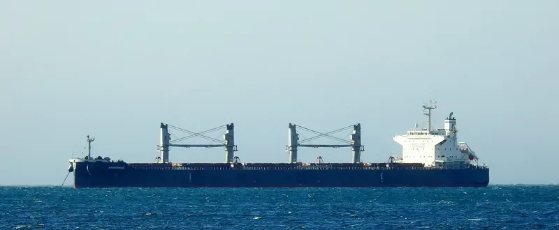 ARMONIA Bulk Carrier IMO 9638496 photo 4