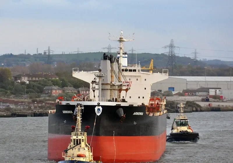 ARMONIA Bulk Carrier IMO 9638496 photo 7