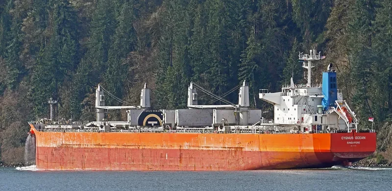 ARMONIA Bulk Carrier IMO 9638496 photo 9