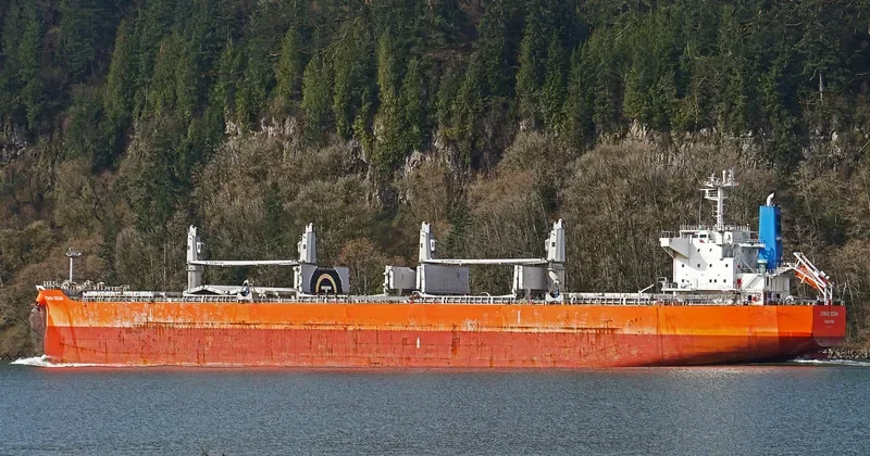 ARMONIA Bulk Carrier IMO 9638496 photo 10