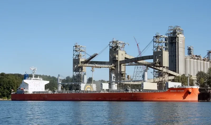 DRACO OCEAN Bulk Carrier IMO 9638501 photo 6