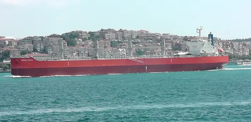 DRACO OCEAN Bulk Carrier IMO 9638501 photo 7