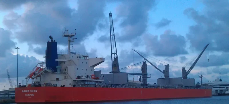 DRACO OCEAN Bulk Carrier IMO 9638501 photo 8