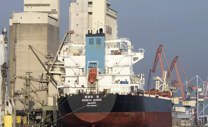 GENEVA QUEEN Bulk Carrier IMO 9638642 photo 3
