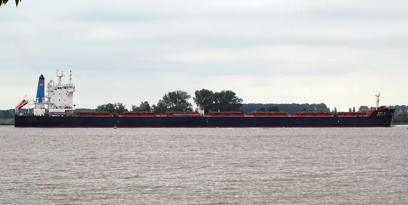 GENEVA QUEEN Bulk Carrier IMO 9638642 photo 4